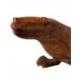 Statue Dragon de Komodo XL en bois de suar 100cm | Pièce Unique
