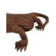 Statue Dragon de Komodo XL en bois de suar 100cm | Pièce Unique