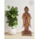 Statue de Bouddha debout en bois de suar teinté 100cm | Import Bali