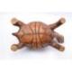 Statuette Tortue de terre 20cm - bois massif sculpté main