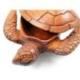 Grande boîte / vide-poche en bois exotique forme Tortue de mer