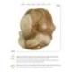 Statue Yogi Libérateur en Bois 25cm | Bouddha pleureur