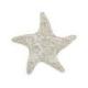 Étoile de Mer murale en Coquillages 30cm | Déco Bohème & Bord de Mer
