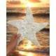 Étoile de Mer murale en Coquillages 30cm | Déco Bohème & Bord de Mer