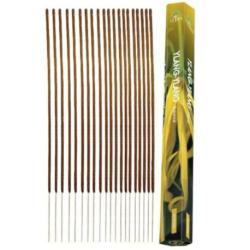 Encens sans charbon "Ylang-ylang" 20 bâtons | Terra