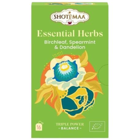 Infusion Bio "Équilibre Basique" Feuille de Boulot, Menthe Verte & Pissenlit | Shoti Maa - Gamme Triple Pouvoir