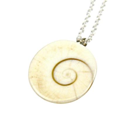 Chaîne avec pendentif coquillage œil de Sainte Lucie / œil de Shiva