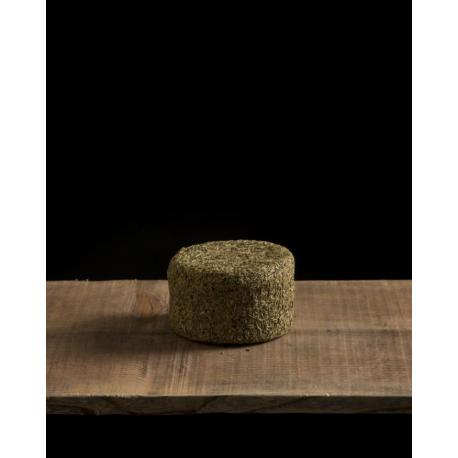 Rosmarino de la Méditerranée - 1/2 pièce