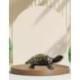 Statuette Tortue de Terre en laiton 11cm